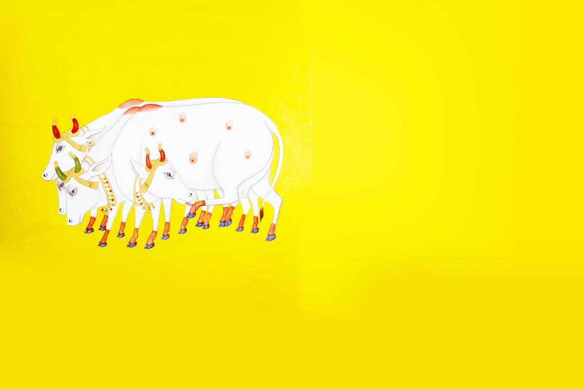Slider Image